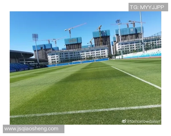 星海人家足球明星的成长之路与辉煌成就探秘